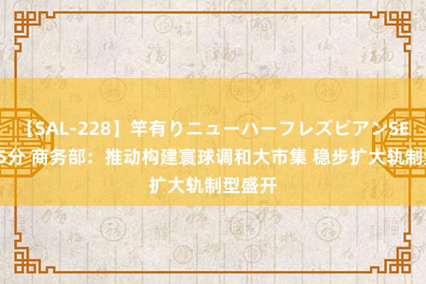 【SAL-228】竿有りニューハーフレズビアンSEX1125分 商务部：推动构建寰球调和大市集 稳步扩大轨制型盛开