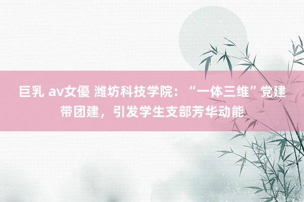 巨乳 av女優 潍坊科技学院：“一体三维”党建带团建，引发学生支部芳华动能