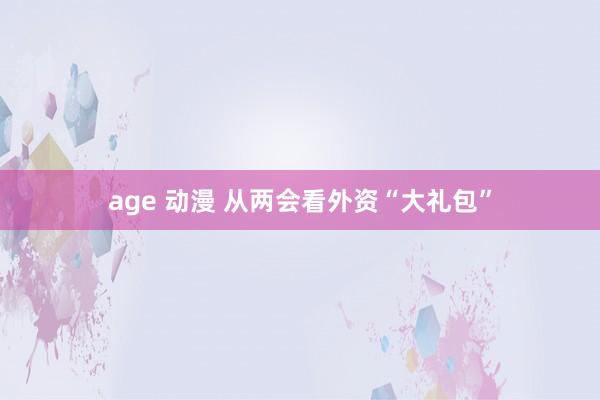 age 动漫 从两会看外资“大礼包”