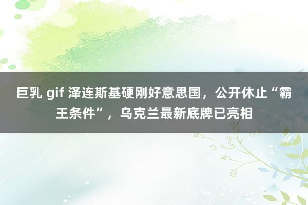 巨乳 gif 泽连斯基硬刚好意思国，公开休止“霸王条件”，乌克兰最新底牌已亮相