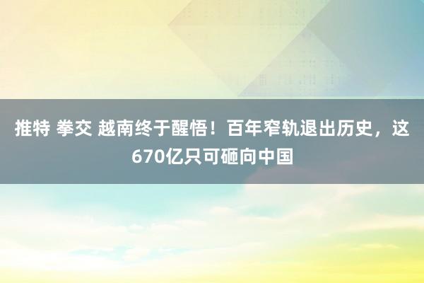 推特 拳交 越南终于醒悟！百年窄轨退出历史，这670亿只可砸向中国