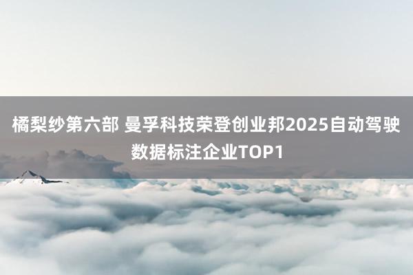 橘梨纱第六部 曼孚科技荣登创业邦2025自动驾驶数据标注企业TOP1