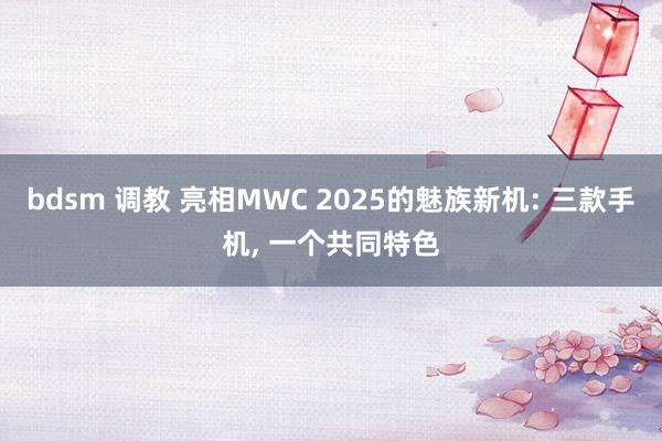 bdsm 调教 亮相MWC 2025的魅族新机: 三款手机, 一个共同特色