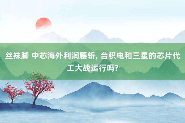 丝袜脚 中芯海外利润腰斩, 台积电和三星的芯片代工大战运行吗?