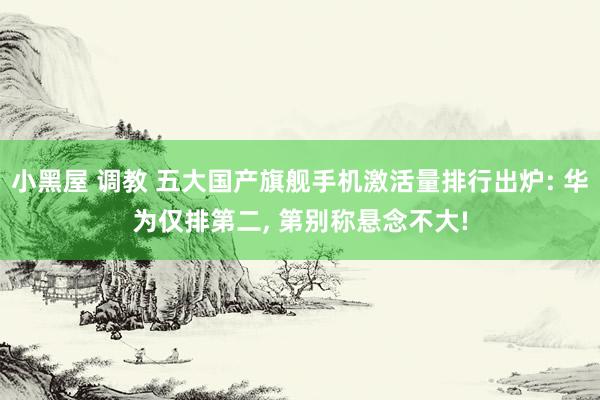 小黑屋 调教 五大国产旗舰手机激活量排行出炉: 华为仅排第二, 第别称悬念不大!