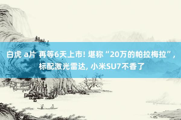 白虎 a片 再等6天上市! 堪称“20万的帕拉梅拉”, 标配激光雷达, 小米SU7不香了