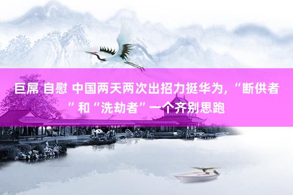 巨屌 自慰 中国两天两次出招力挺华为, “断供者”和“洗劫者”一个齐别思跑