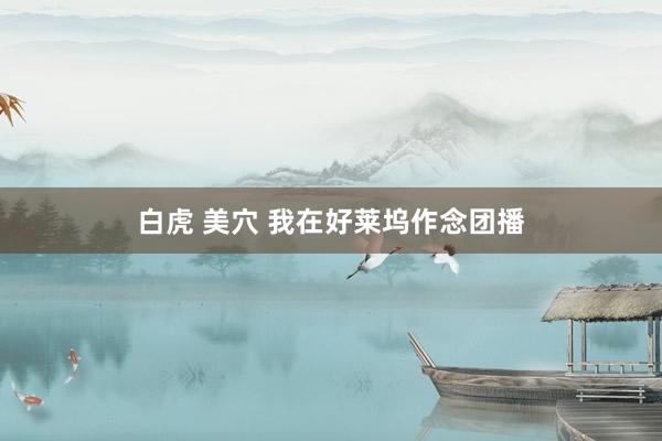 白虎 美穴 我在好莱坞作念团播