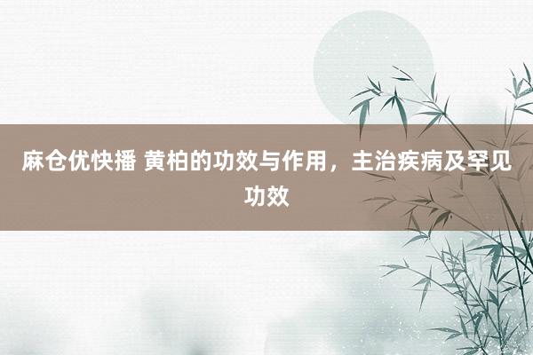 麻仓优快播 黄柏的功效与作用，主治疾病及罕见功效