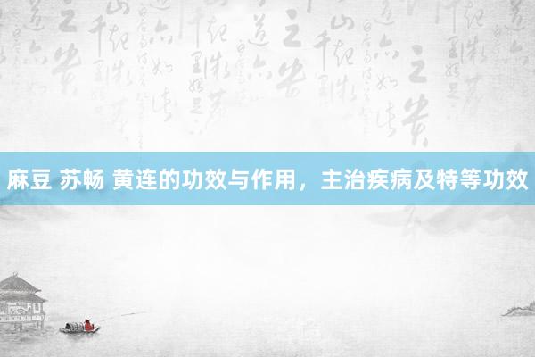 麻豆 苏畅 黄连的功效与作用，主治疾病及特等功效