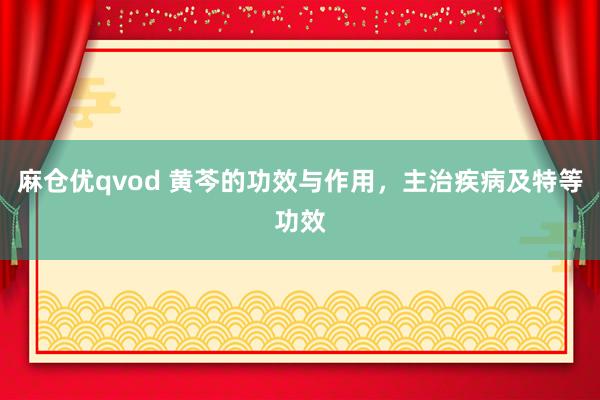 麻仓优qvod 黄芩的功效与作用，主治疾病及特等功效