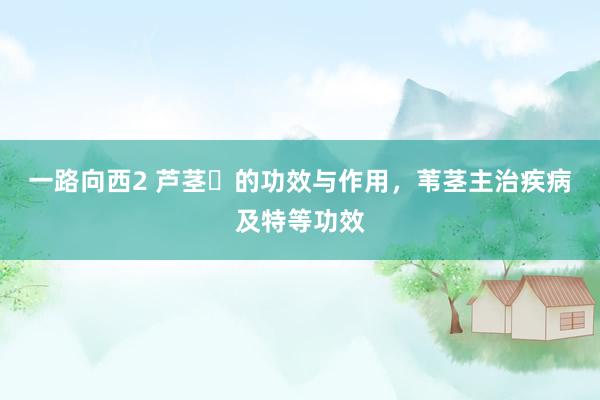 一路向西2 芦茎​的功效与作用，苇茎主治疾病及特等功效