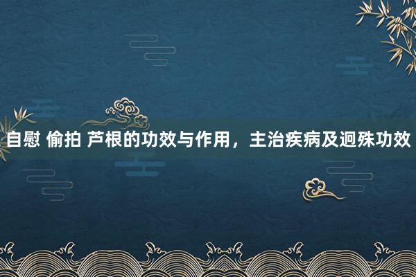 自慰 偷拍 芦根的功效与作用，主治疾病及迥殊功效