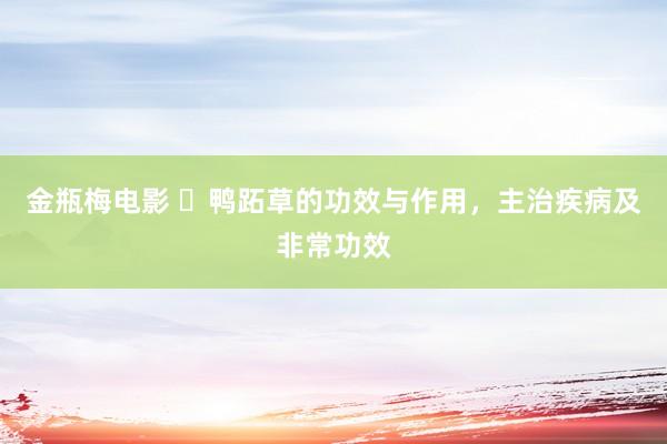 金瓶梅电影 ​鸭跖草的功效与作用，主治疾病及非常功效