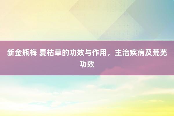 新金瓶梅 夏枯草的功效与作用，主治疾病及荒芜功效