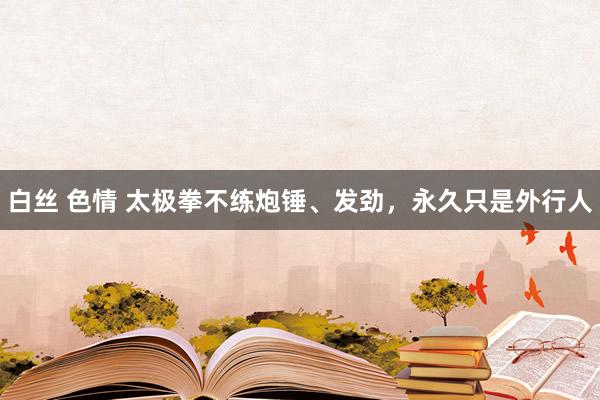 白丝 色情 太极拳不练炮锤、发劲，永久只是外行人