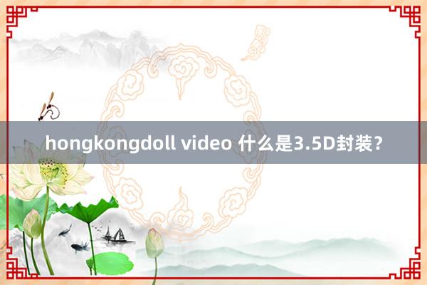 hongkongdoll video 什么是3.5D封装？