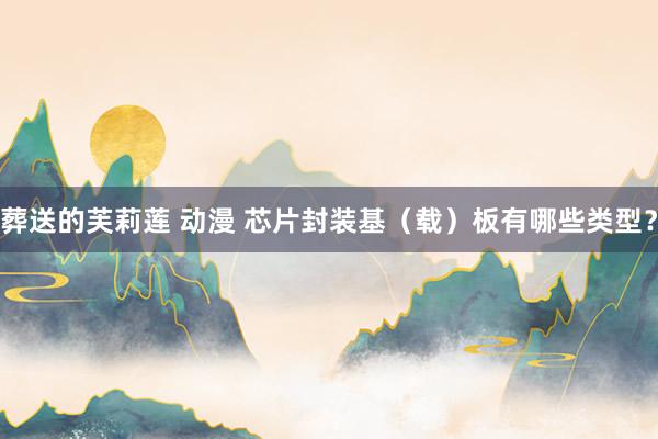 葬送的芙莉莲 动漫 芯片封装基（载）板有哪些类型？