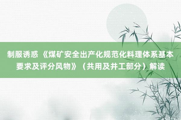 制服诱惑 《煤矿安全出产化规范化料理体系基本要求及评分风物》（共用及井工部分）解读