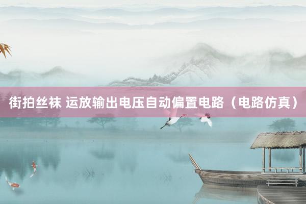 街拍丝袜 运放输出电压自动偏置电路（电路仿真）