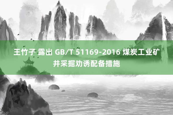 王竹子 露出 GB∕T 51169-2016 煤炭工业矿井采掘劝诱配备措施