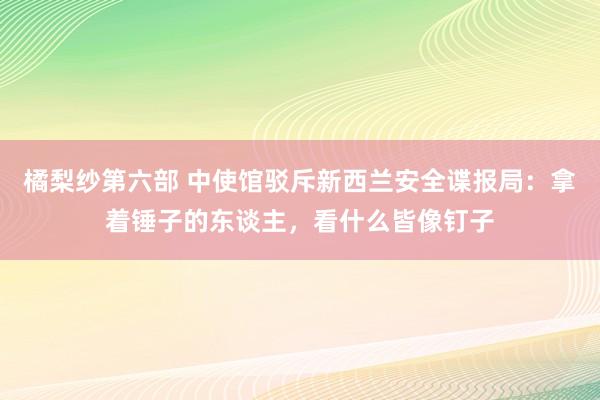 橘梨纱第六部 中使馆驳斥新西兰安全谍报局：拿着锤子的东谈主，看什么皆像钉子