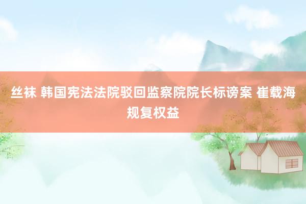丝袜 韩国宪法法院驳回监察院院长标谤案 崔载海规复权益